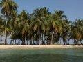 isla de palmeras