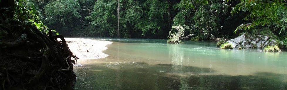 Image is not available