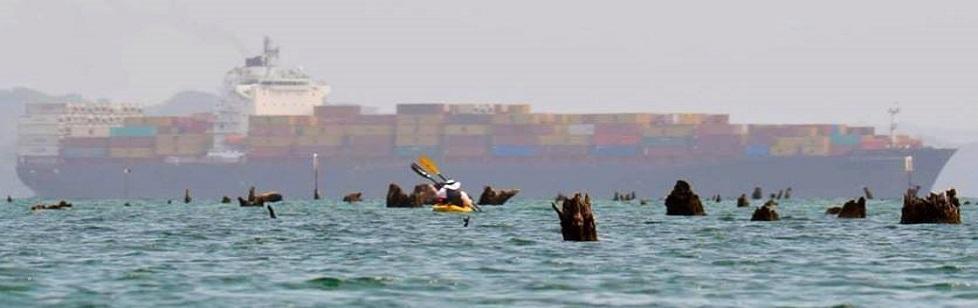 Image is not available