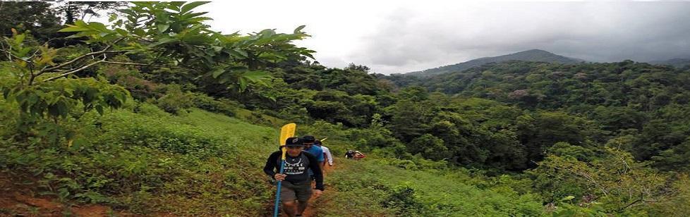 Image is not available