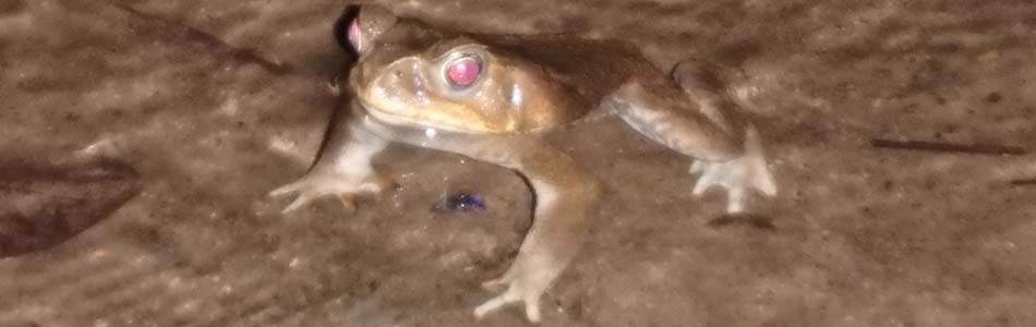 Image is not available