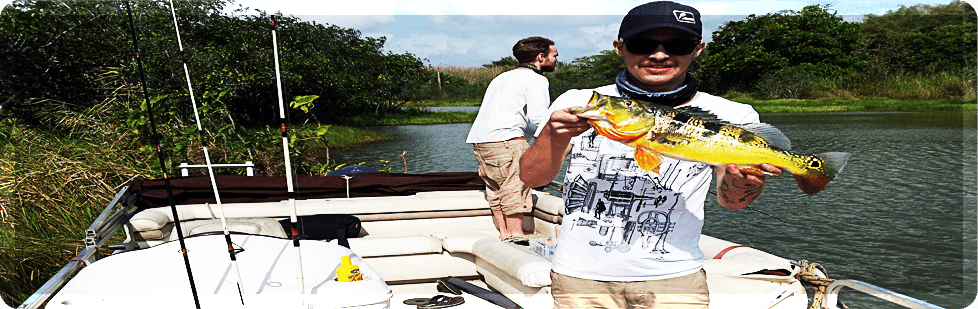 Image is not available