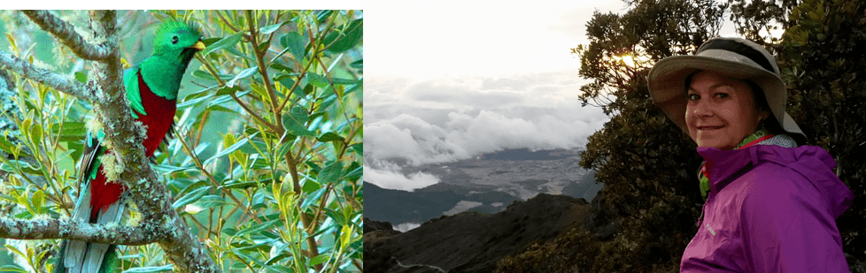 Image is not available